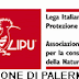 LAV - LIPU: PALERMO, AL MERCATO DI BALLARO' CONTINUA INDISTURBATO IL TRAFFICO DI CARDELLINI