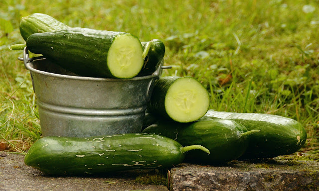 Cucumber diets