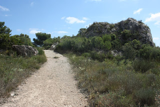 ALBINYANA - ERMITA SANT ANTONI - PUIG DE SANT ANTONI, camí a la vora de l'ermita de Sant Antoni