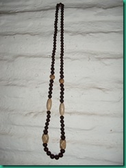 DSCI0043