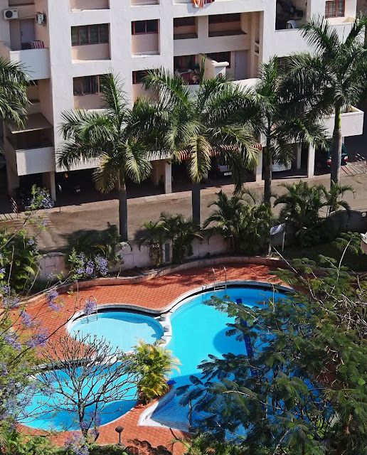 flower shaped shallow pool