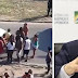 BRASIL / Os 80 tiros contra família no Rio seriam 'legítima defesa' com pacote de Moro