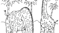 Free Printable Coloring Pages Of Wild Animals