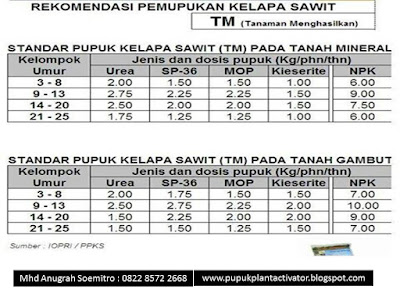 Dosis Pemupukan Tanaman KELAPA SAWIT  dengan Pupuk Mikro Plant Activator