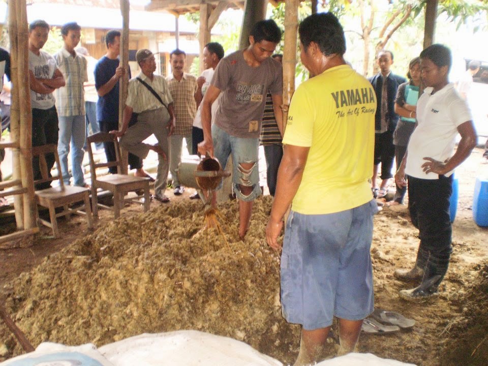 Cara Mudah Membuat Sendiri Pakan Fermentasi Itik – Bebek dengan SOC-HCS