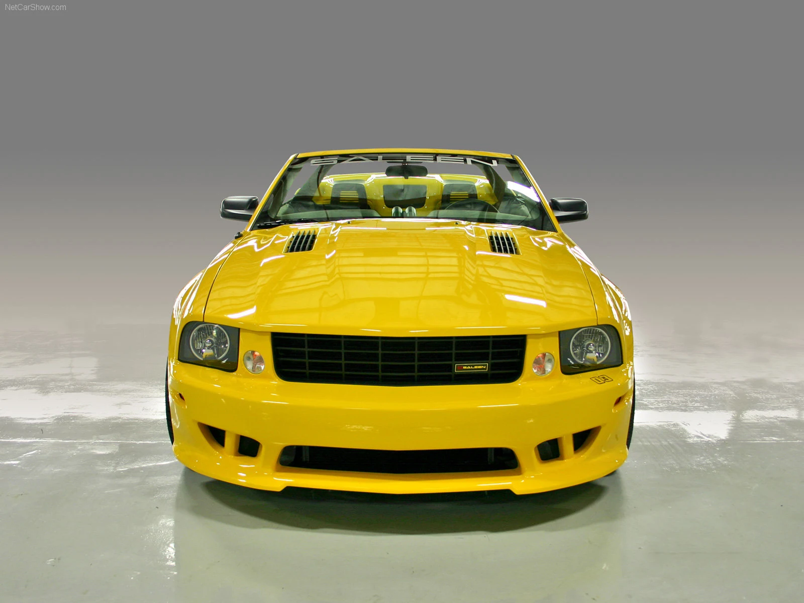 Hình ảnh xe ô tô Saleen Ford Mustang S281 Speedster 2006 & nội ngoại thất