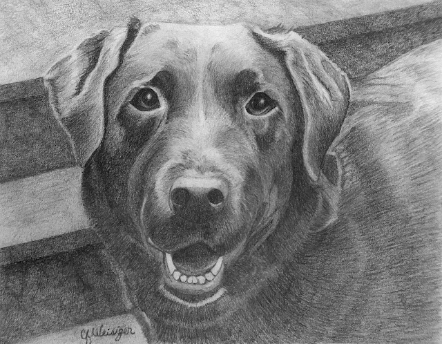 "Dog Portrat One," Graphite pencil by Christy Weisinger