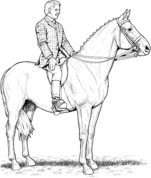 Coloring Pages Horses Jumping