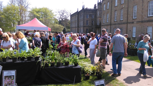 Rare and Unusual Plant Fair