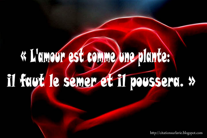 Proverbes Et Citations Damour En Image Gallery