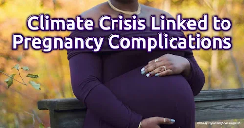 Climate Crisis Linked to Pregnancy Complications. Read the full article by Katherine Martinko @Treehuggers. Carbon offsetting is vital to your cleaner, greener business and lifestyle. Make your website and lifestyle carbon-neutral first, by a self-service carbon offsetting at https://en.zeroco2.cf/blog/