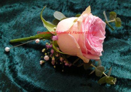  of the bridal party wore a single Sudoku rose with pink gyp and baby 