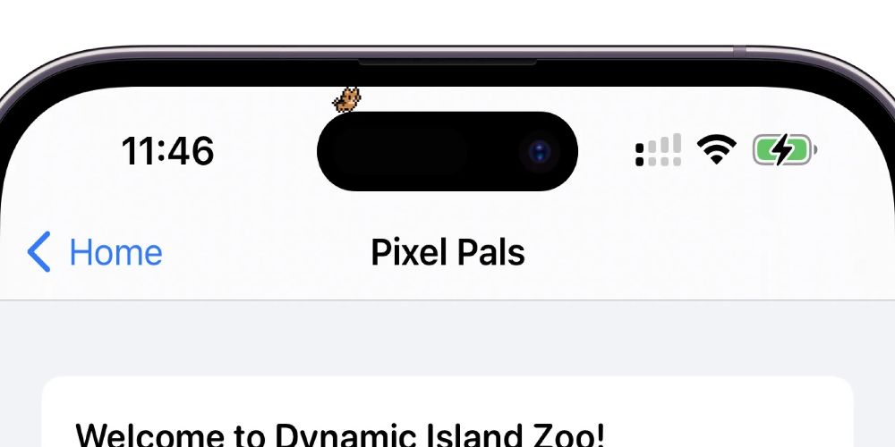 10 Aplikasi iPhone 14 yang Menggunakan Dynamic Island