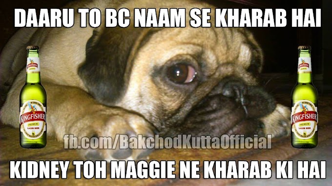 Bakchod Kutta vs Maggi Meme