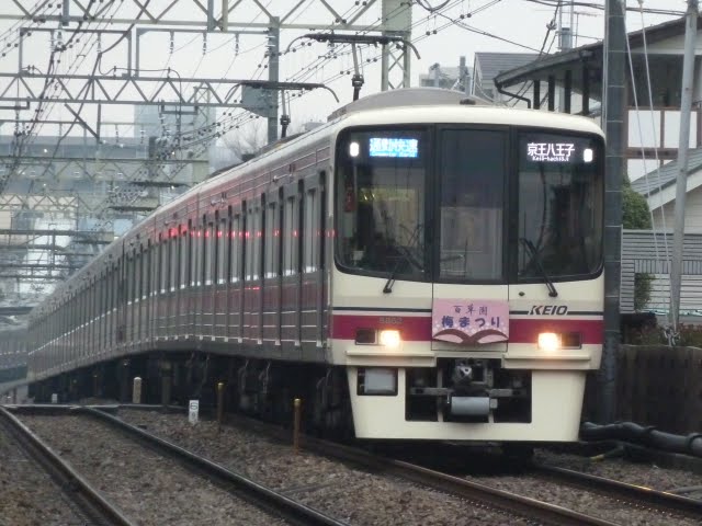 京王電鉄　通勤快速京王八王子行き　8000系 梅まつりヘッドマーク