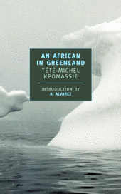 An African in Greenland