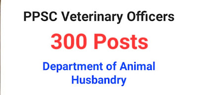 Department of Animal Husbandry