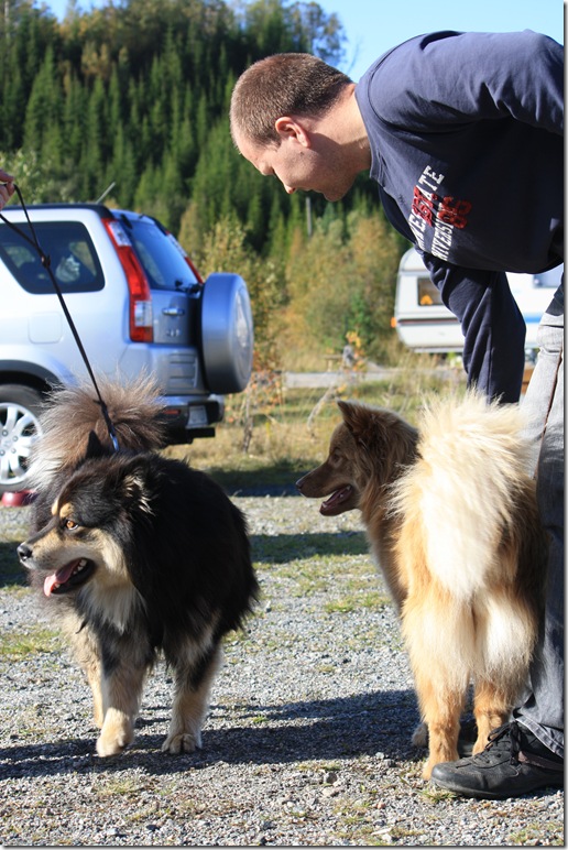 Lapphundtreff 19.09.09 075