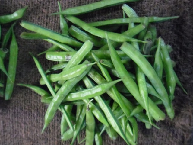HELTH Benefits of CLUSTER BEANS
