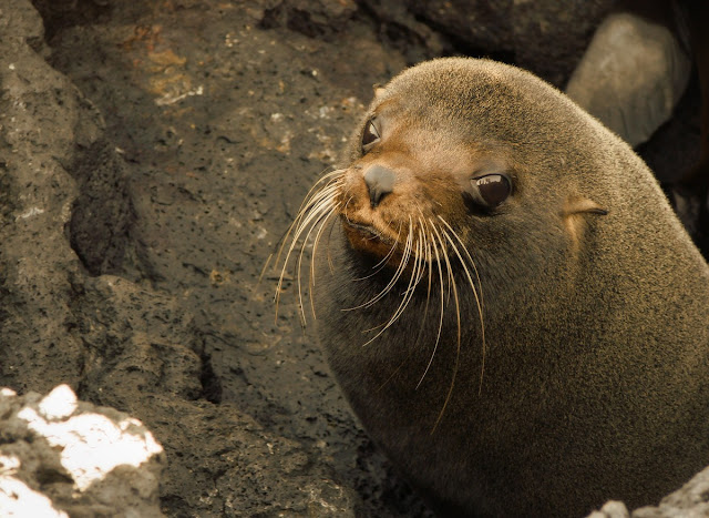 Ecuador, costos,  viaje, Same, canoa, Los frailes, quito, Cuenca, puerto lopez   