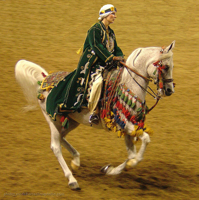 Арабская лошадь в «туземном» костюме
