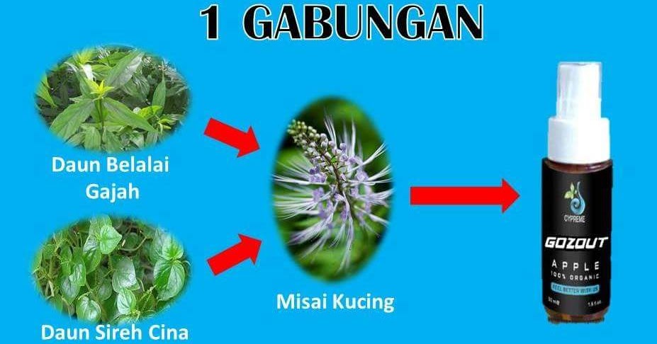 Ubat Batu Karang Paling Mujarab - Klemburan u