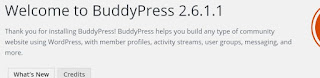 plugin buddypress 2.6.1.1 berhasil di install