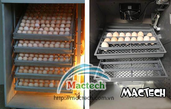 Máy ấp trứng gà Mactech