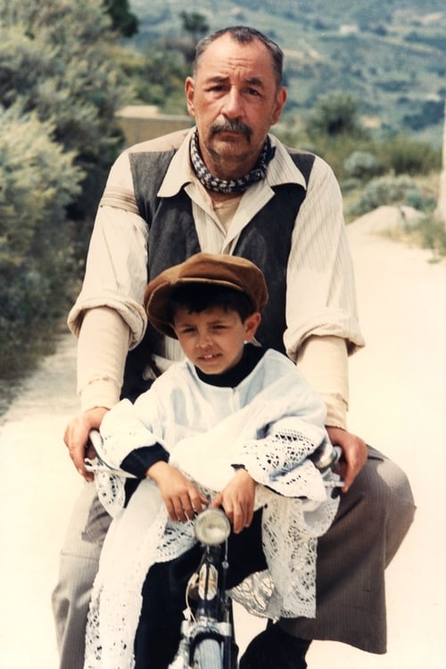 Ver Cinema Paradiso 1988 Online Audio Latino
