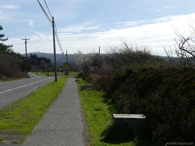 paved path beside the road