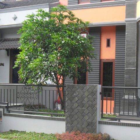 7 Jenis Batu Alam Untuk Tiang Depan Teras Rumah GROSIR 