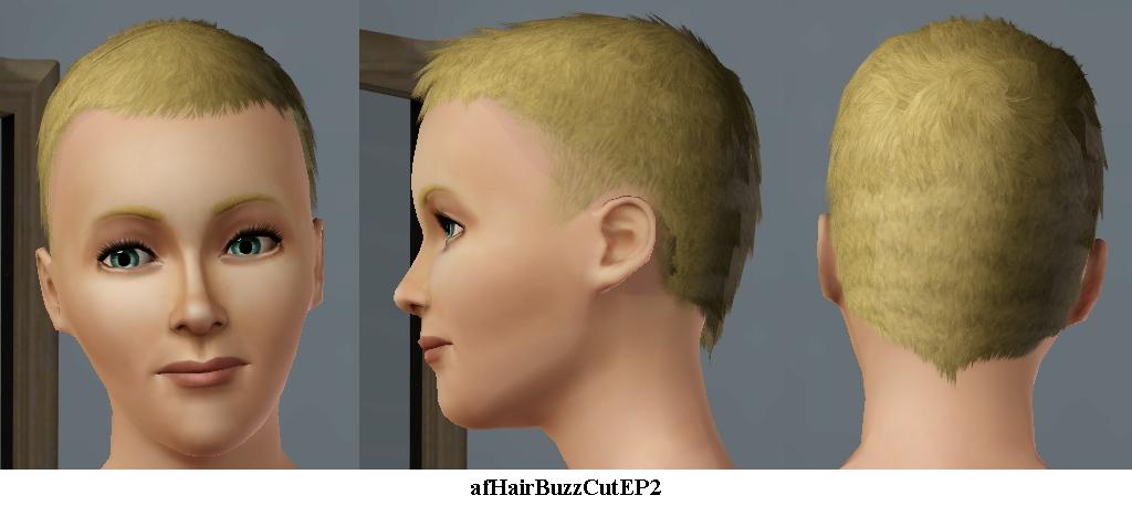 Ambitions short hairstyles converted to female by Wojtek