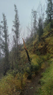 GUNUNG LAWU via CEMORO KANDANG