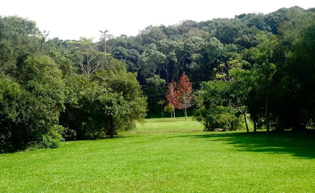 Parque Tingui