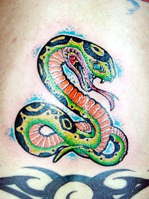 cool snake tattoed make gren tattoo ink combinated whit blue tribal tattoo