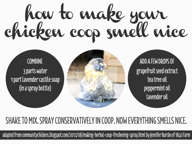 wander north: how to make your chicken coop smell nice