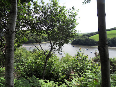 River Fowey at Golant Cornwall