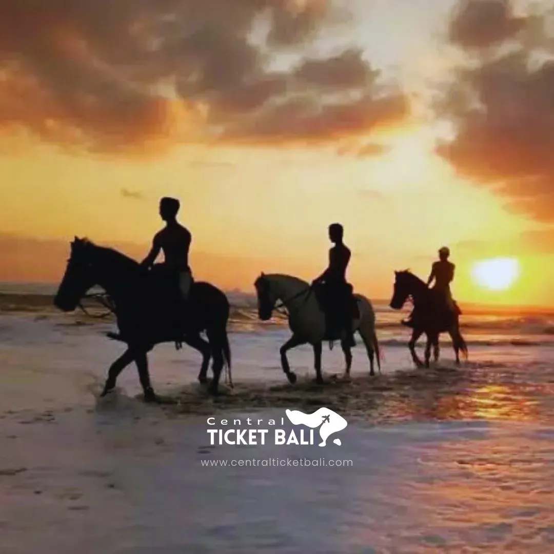 Horse Riding Sunrise Experience Black Sand Beach Bali