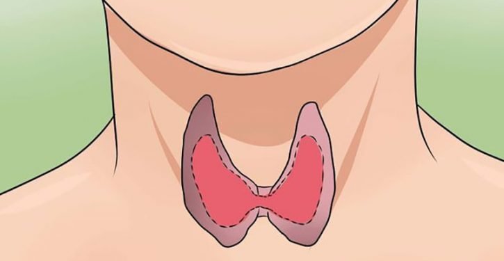Stop Drinking This Popular Drink, It Destroys Your Thyroid And Your Health!