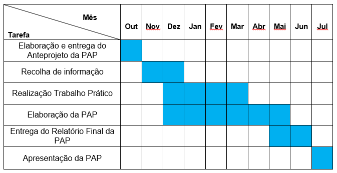 Anteprojeto pap multimedia