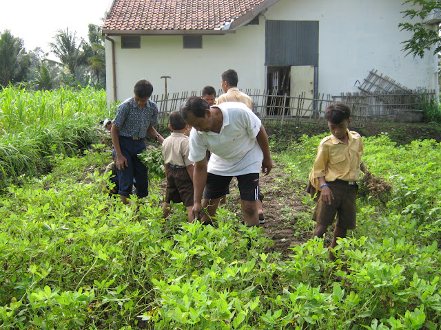 Kegiatan Pertanian