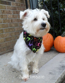 Howl-a-ween Cats Bandana style collar slipcover