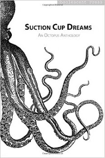 cover of Suction Cup Dreams