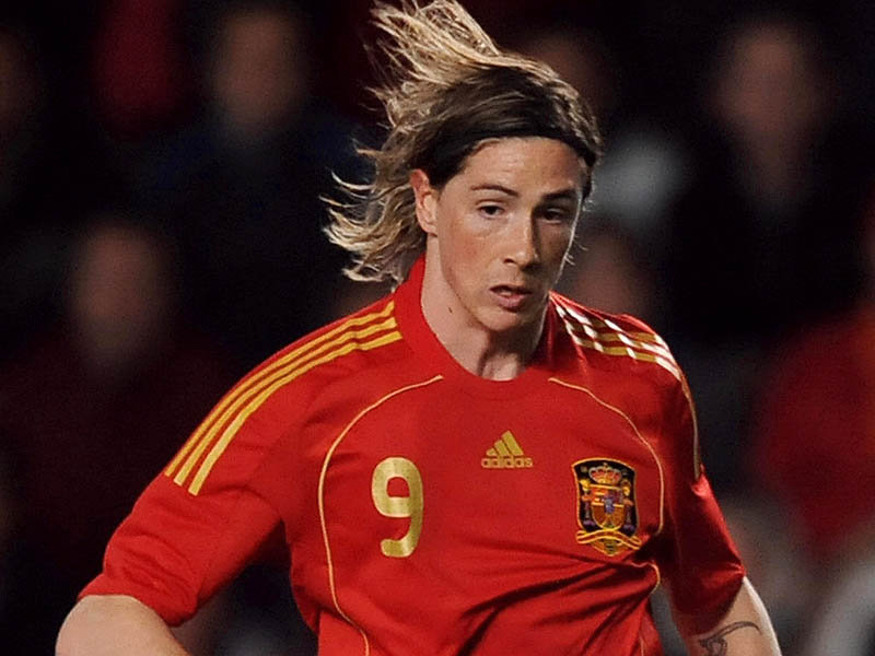 fernando torres body