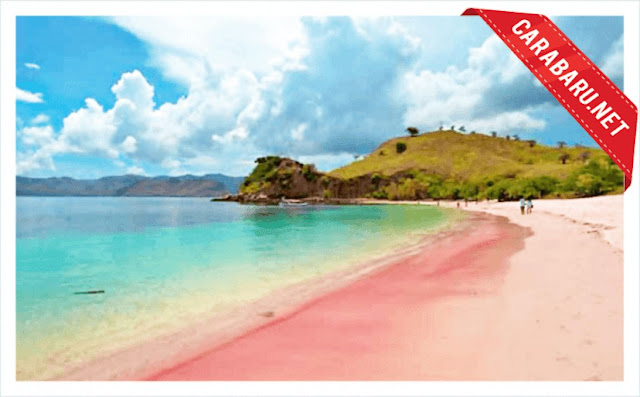 pantai pink - pulau komodo | carabaru.net