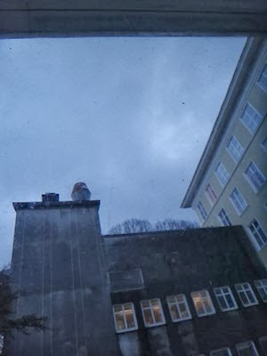 004dev05-DSC01318