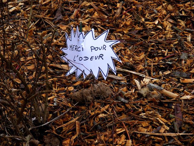 Dog faeces deposited in a public garden, Indre et Loire, France. Photo by Loire Valley Time Travel.