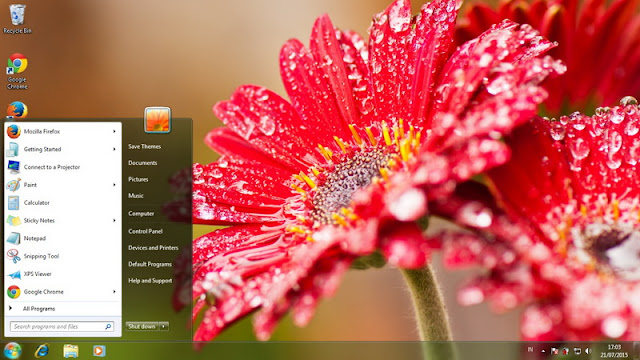 Flowers Theme For Windows 7, 8 And 8.1