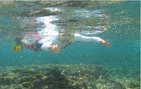 Image of Peter snorkeling and waving to the camera under the water around Lady Elliot Island