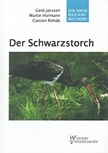 Der Schwarzstorch: Ciconia nigra